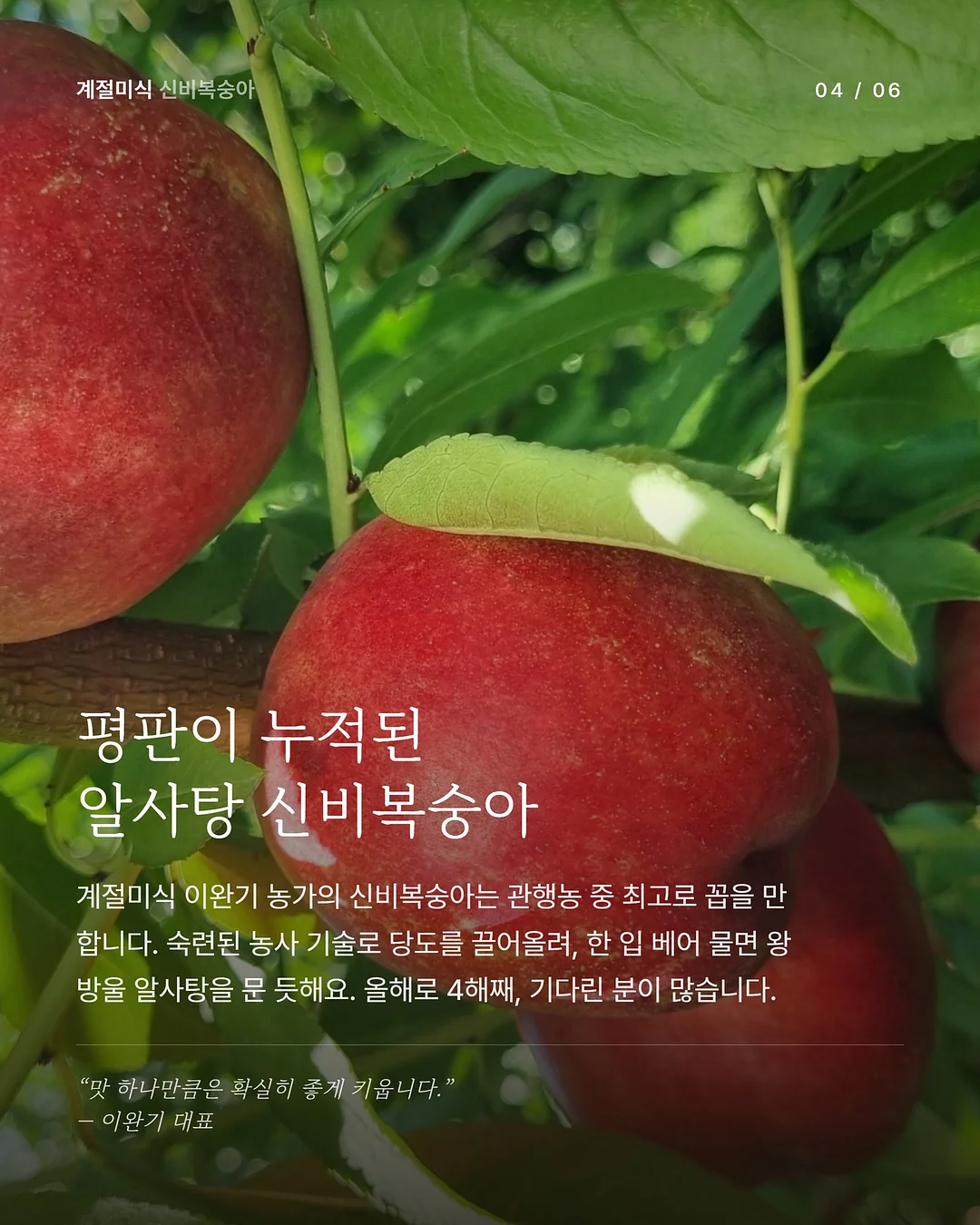 레몬 커플 잠옷 4
