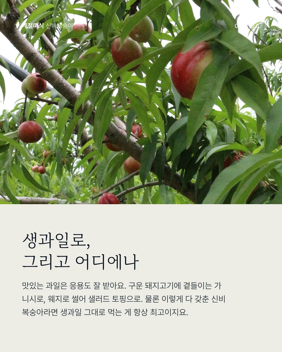 레몬 커플 잠옷 5