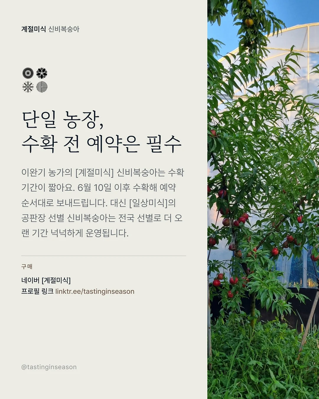 레몬 커플 잠옷 6