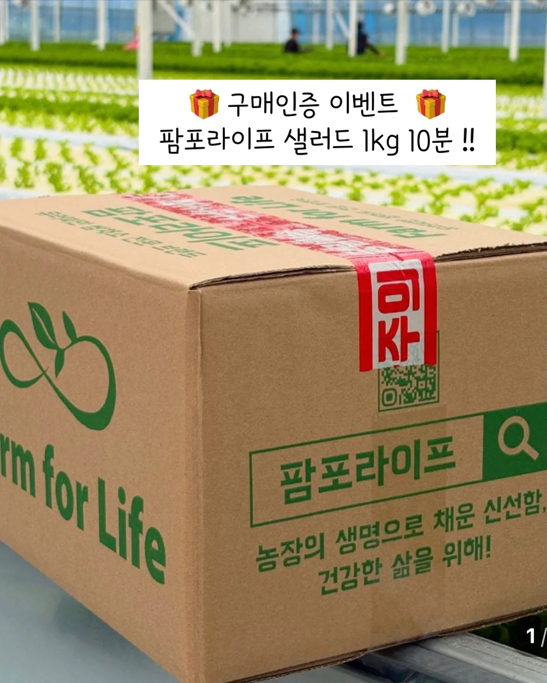 통오리 바베큐 15