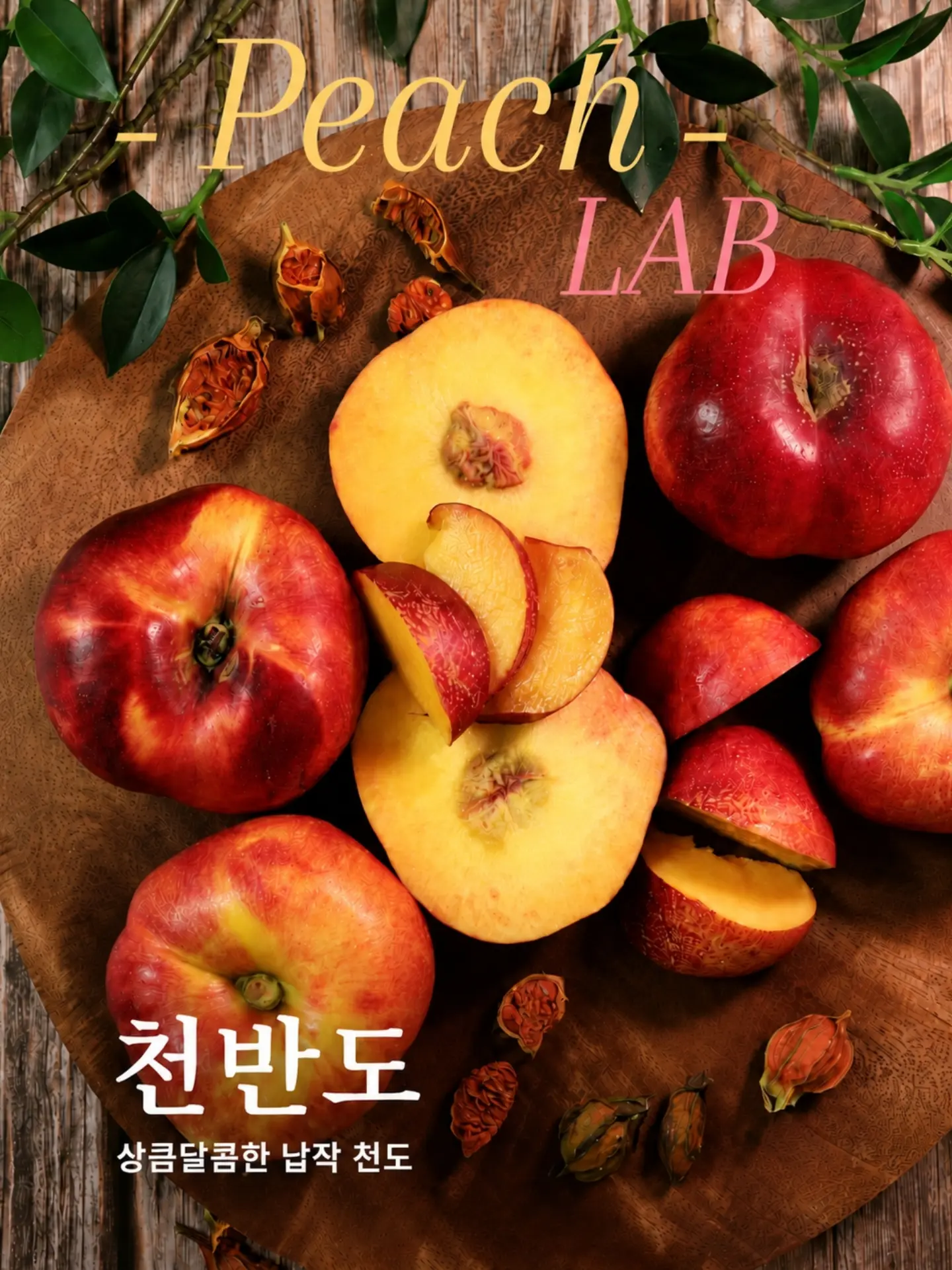 건전지 충전기 1