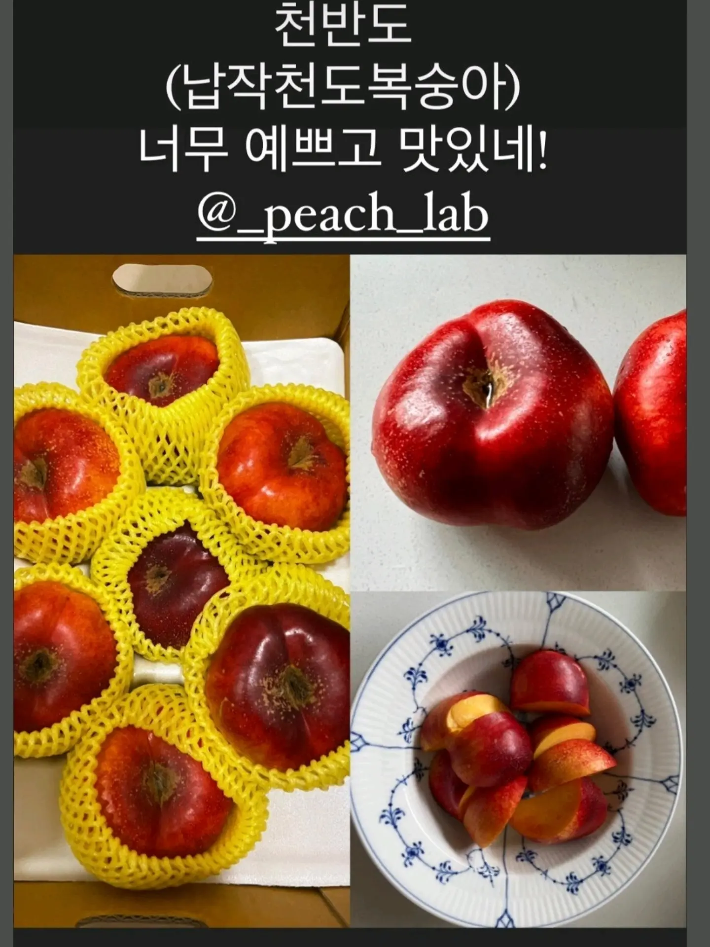 건전지 충전기 2