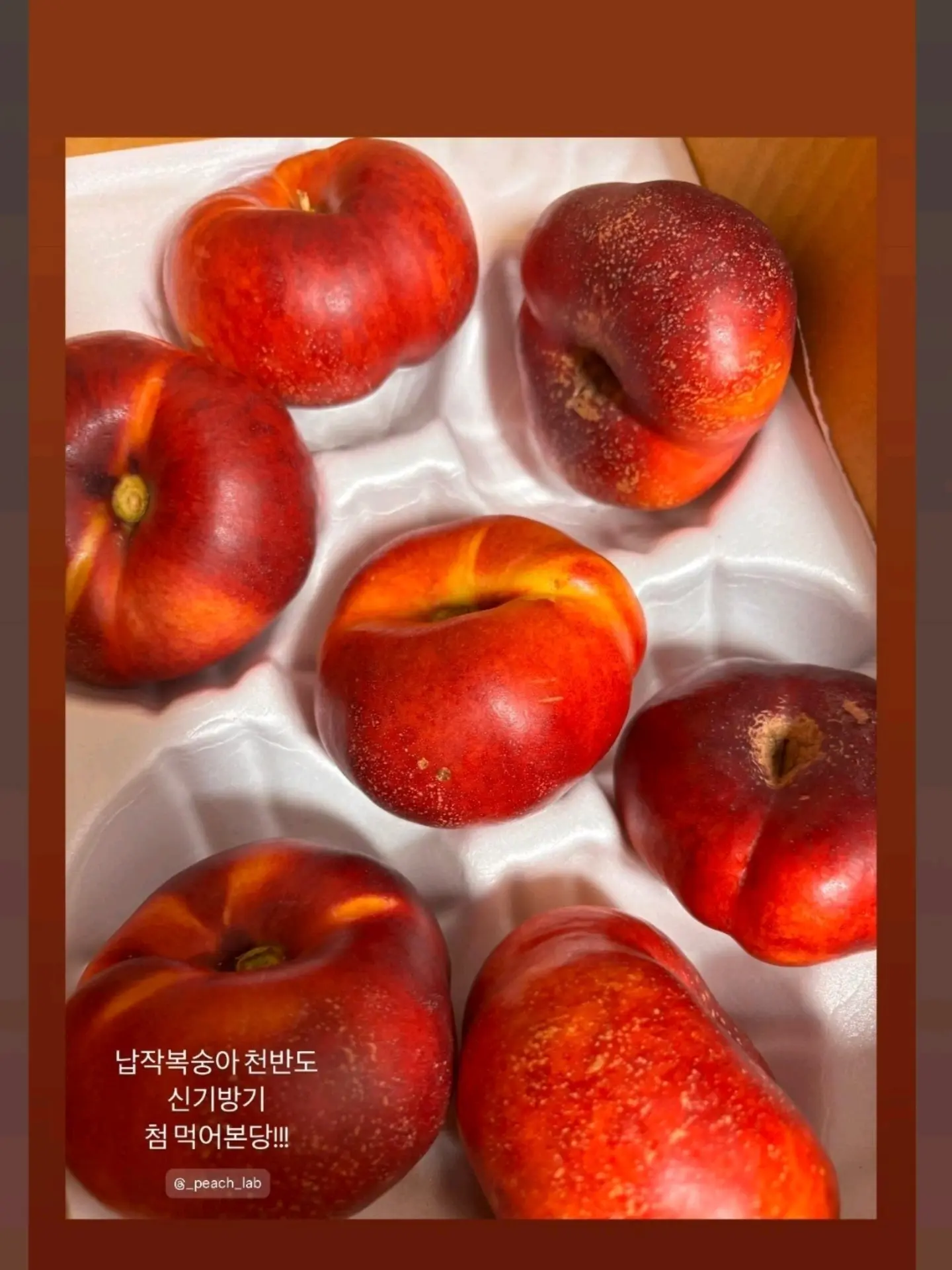 건전지 충전기 4