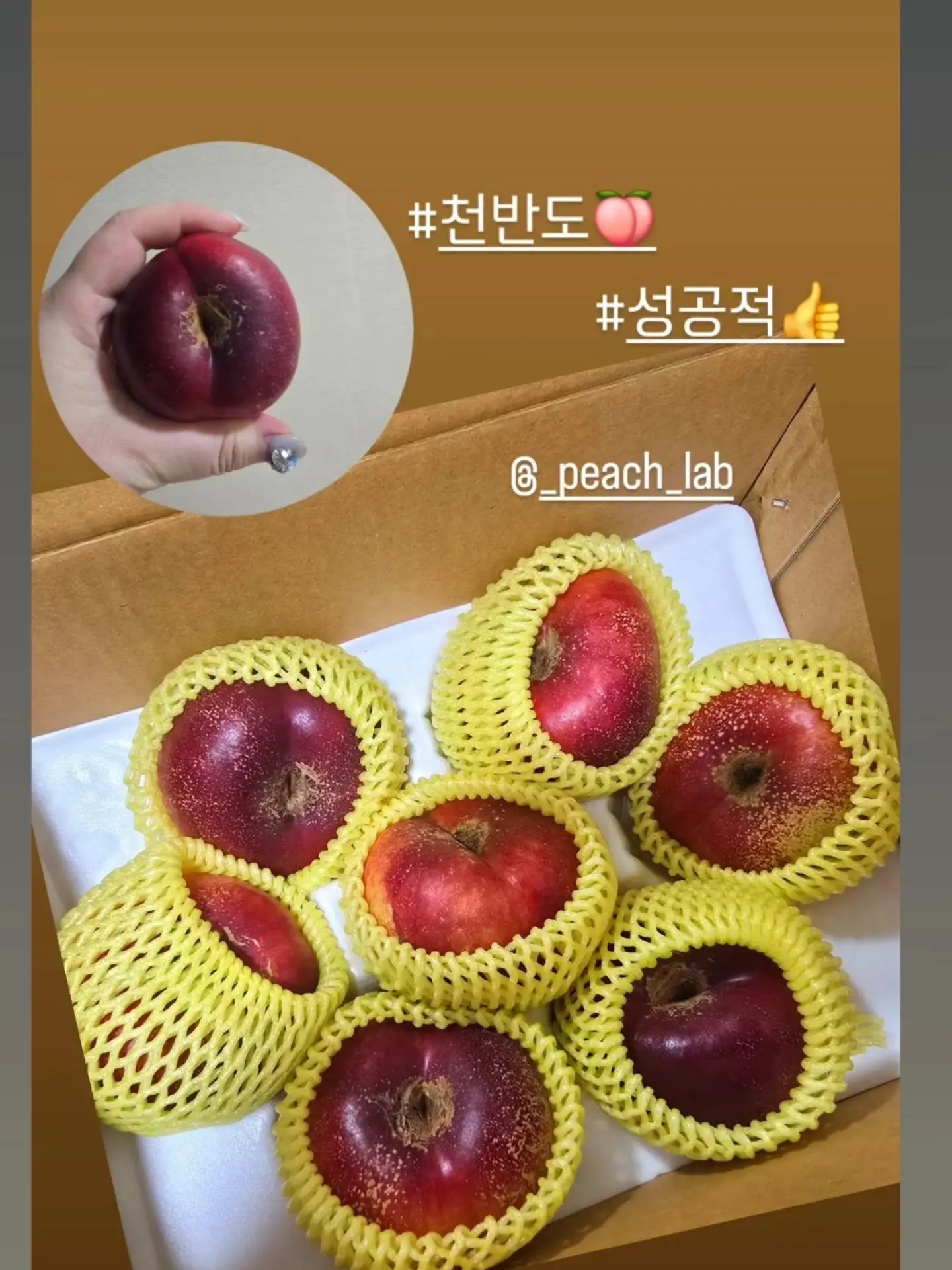 건전지 충전기 6