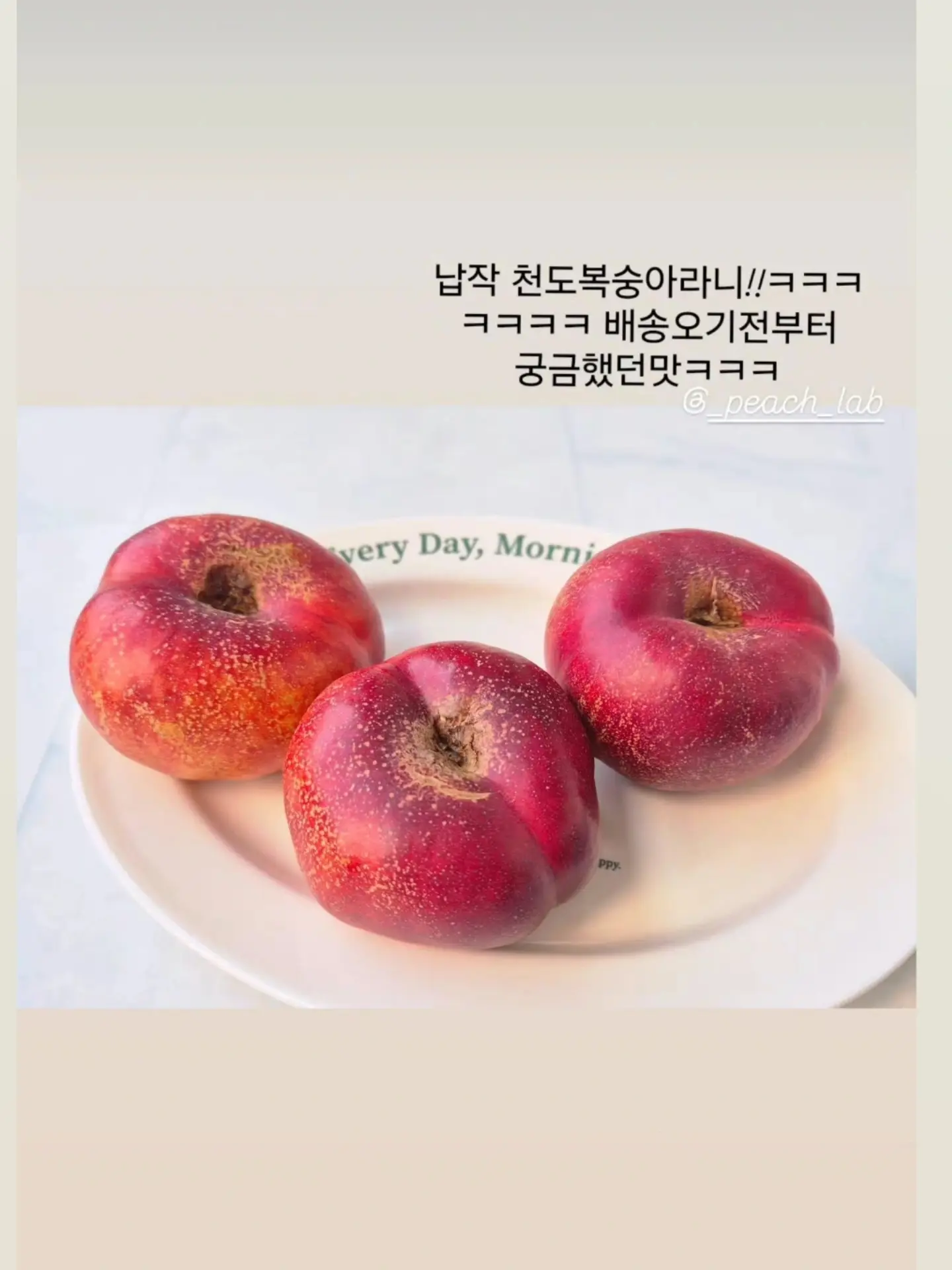 건전지 충전기 7