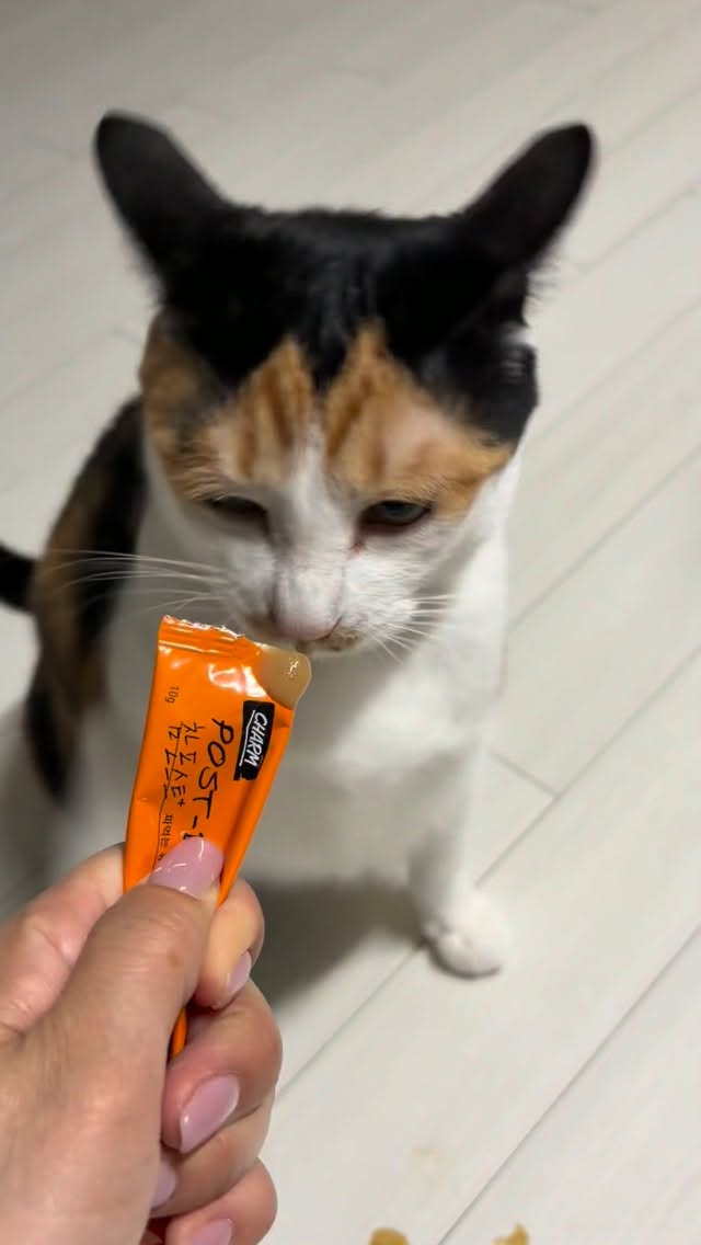 네모세상 큐브블록