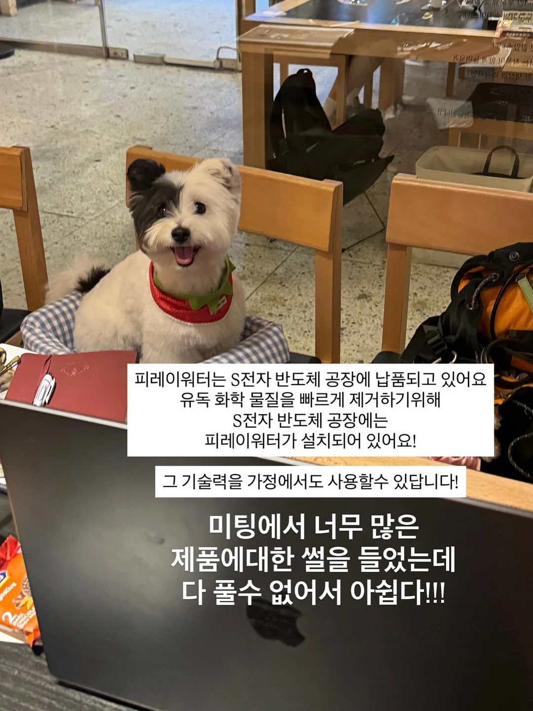 밑단 단추 롤업 디테일 숏팬츠 18