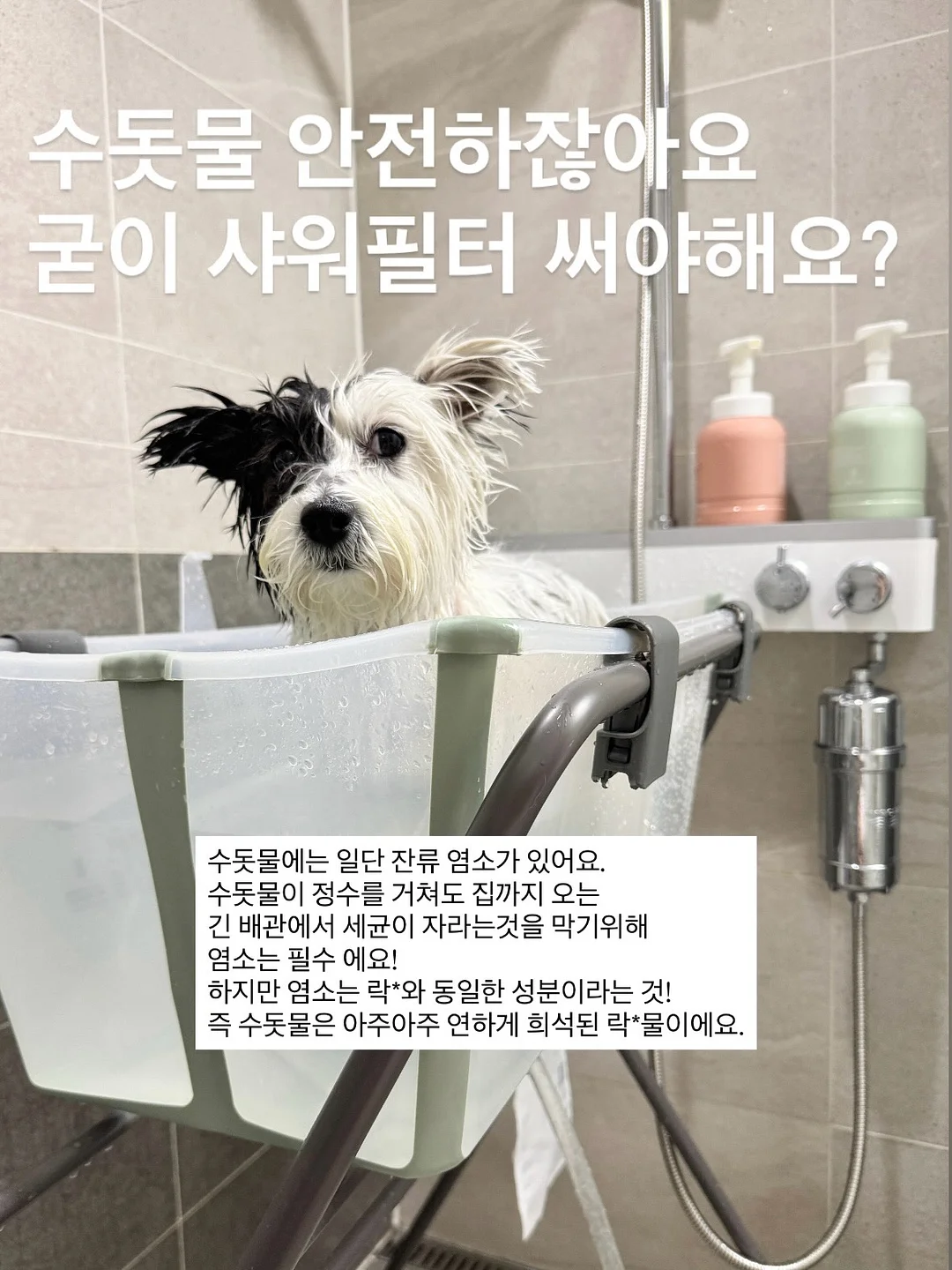 밑단 단추 롤업 디테일 숏팬츠 4
