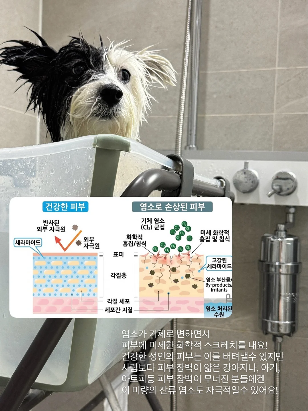 밑단 단추 롤업 디테일 숏팬츠 6
