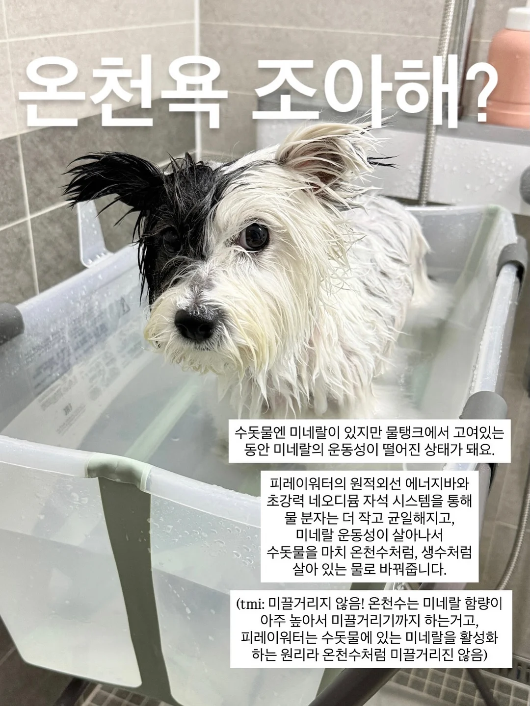 밑단 단추 롤업 디테일 숏팬츠 9