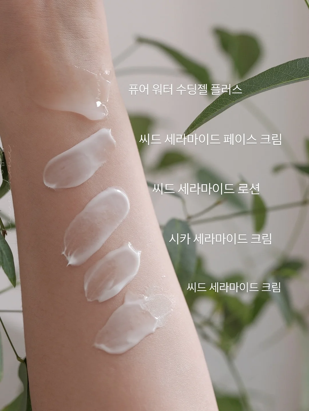 다진 마늘 9