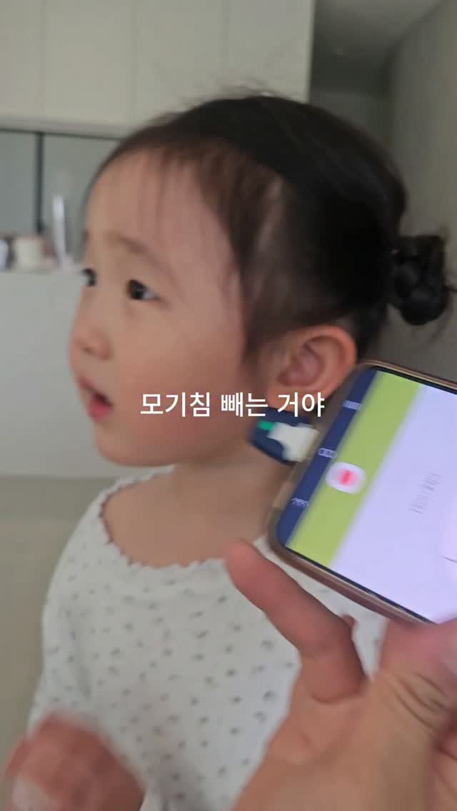 다이어트 공식 양념