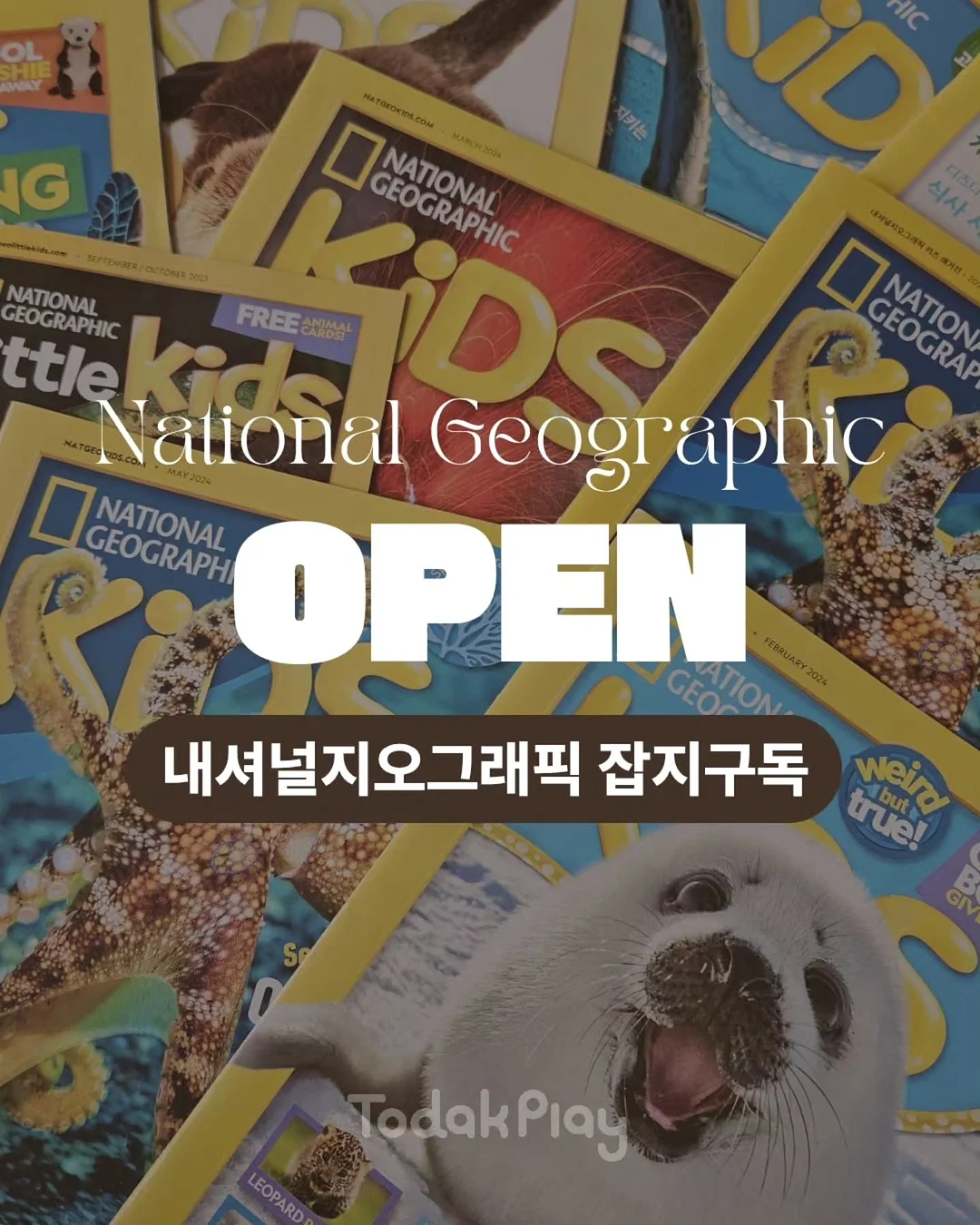 하트 자석 커튼 홀더 1