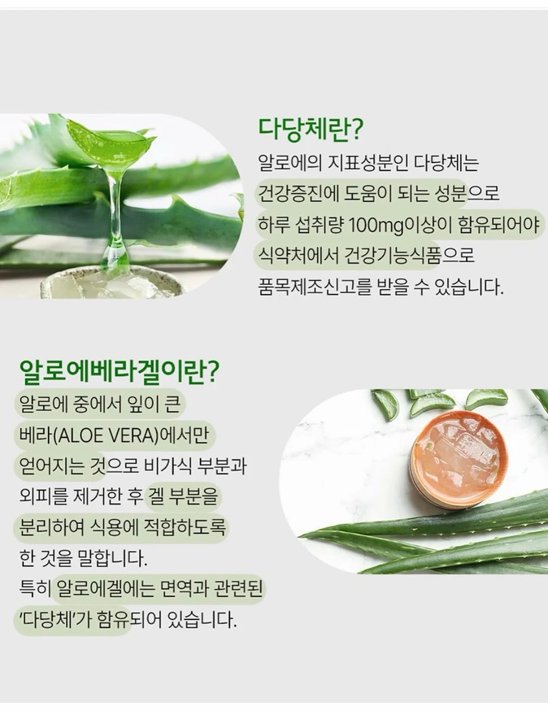 딜꽃 6