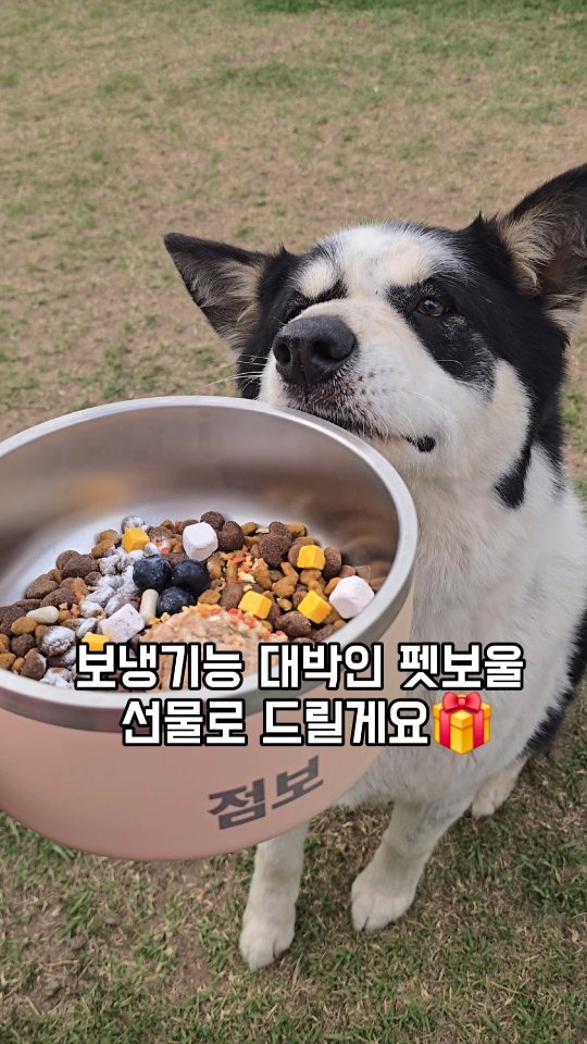 종가육수