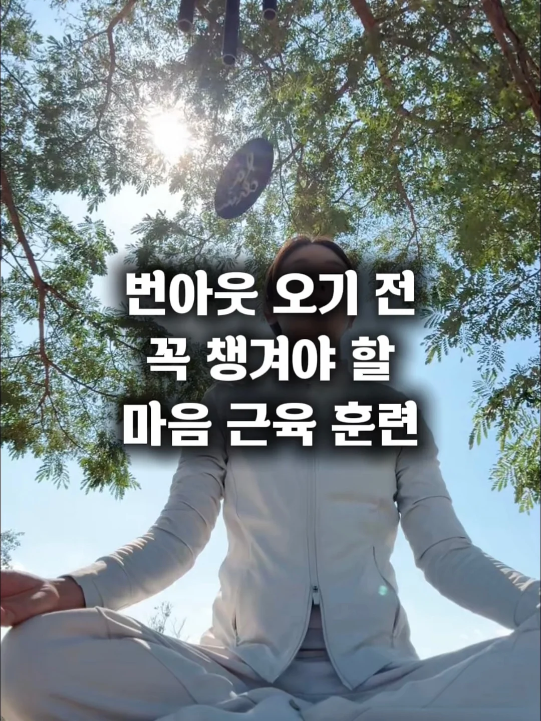 마누카꿀 스틱 6