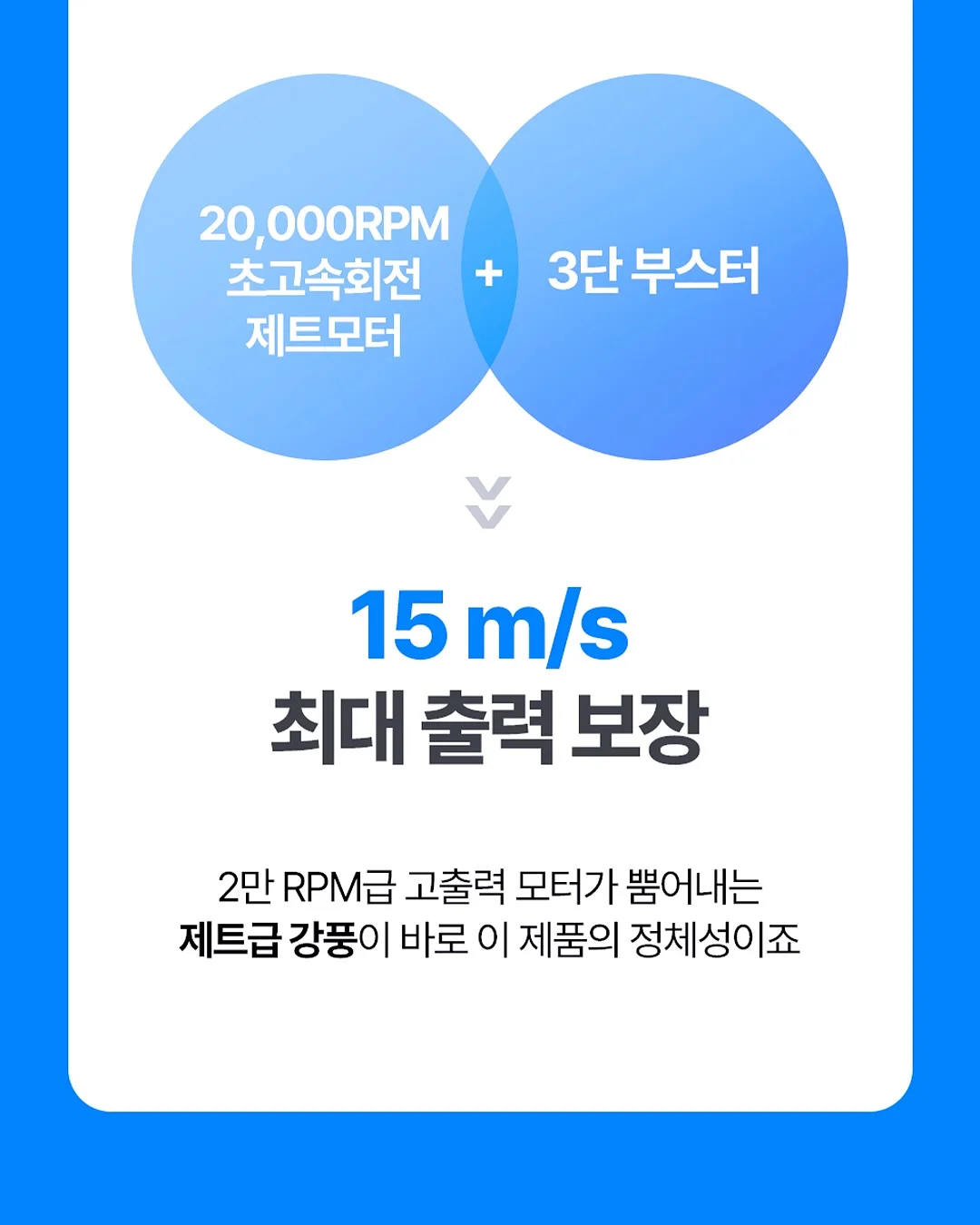 제이델링 데이지 생화 생크림케이크 8