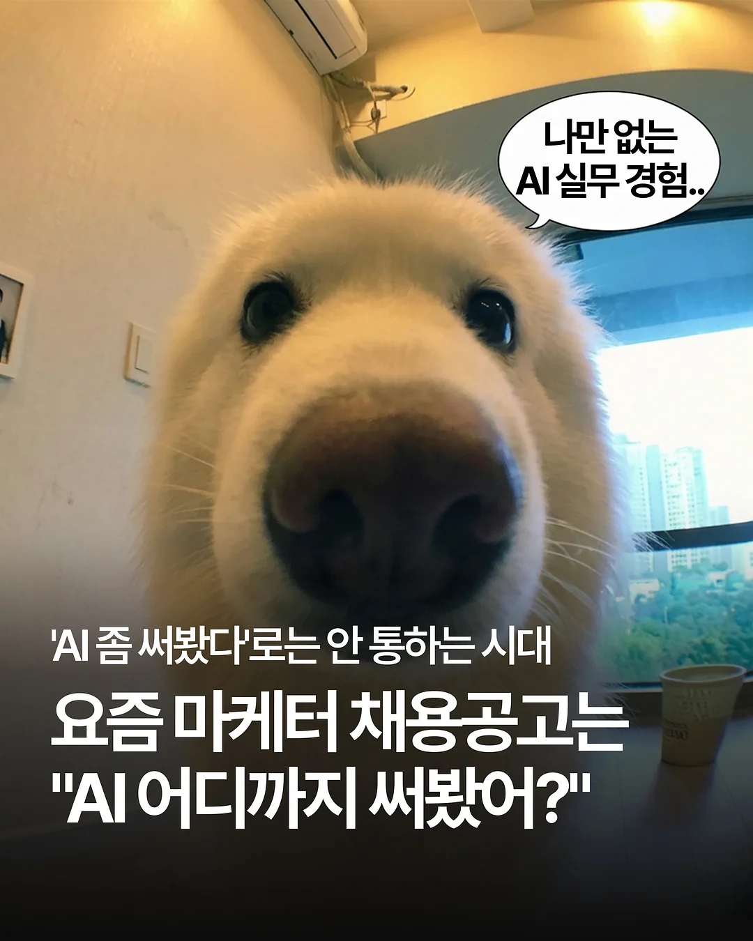 펍 시원한 썸머드레스 1