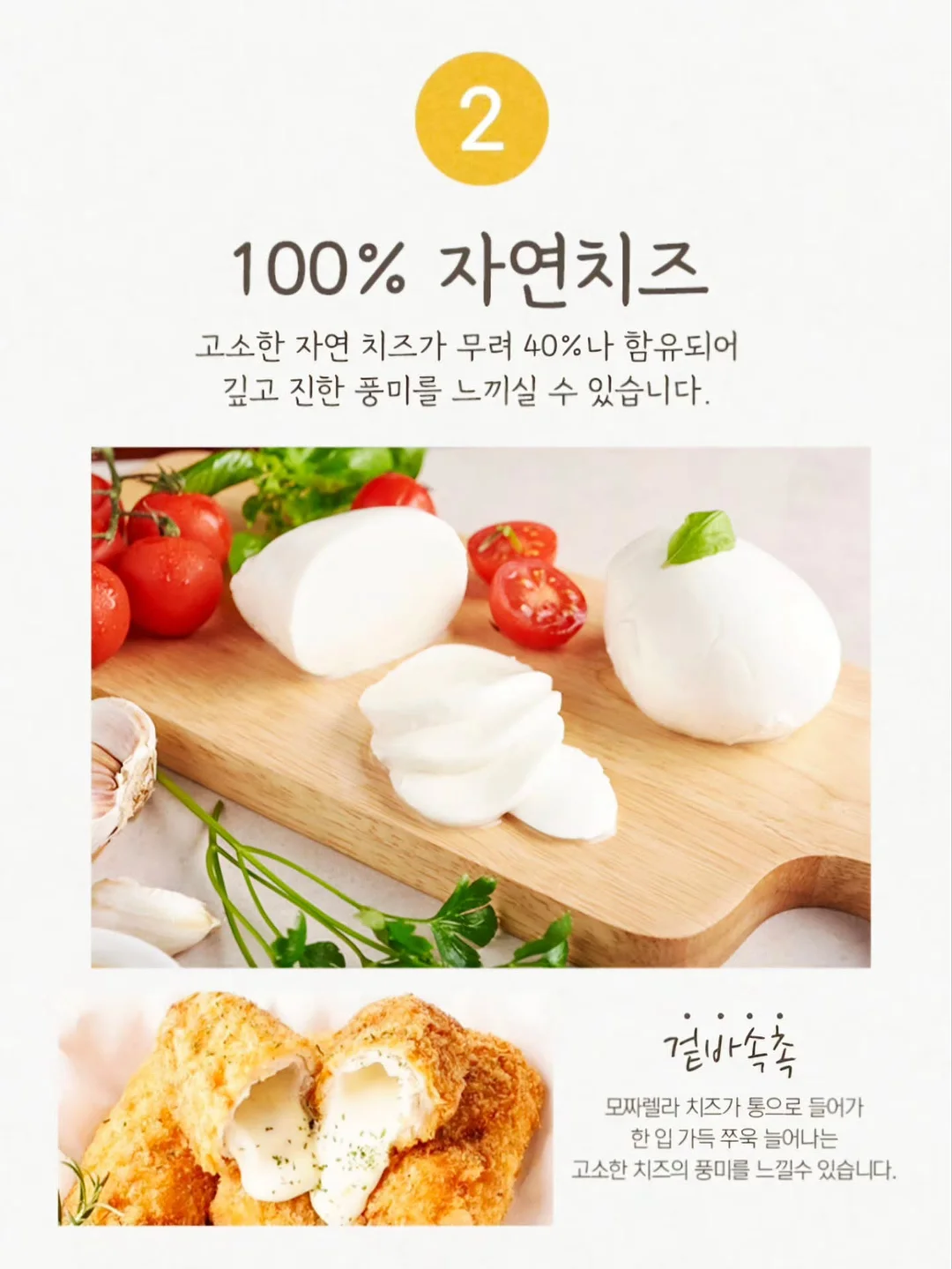 Quo Vadis 가죽 바인더 4