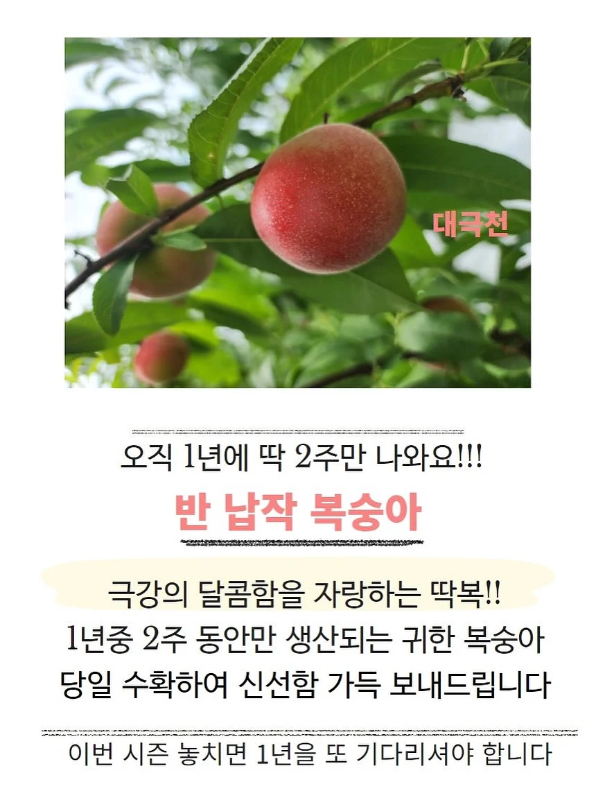아이패드 11인치 수납 가로형 미니백 16