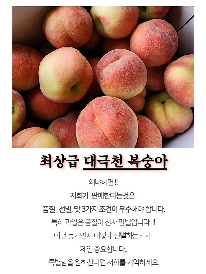 아이패드 11인치 수납 가로형 미니백 19