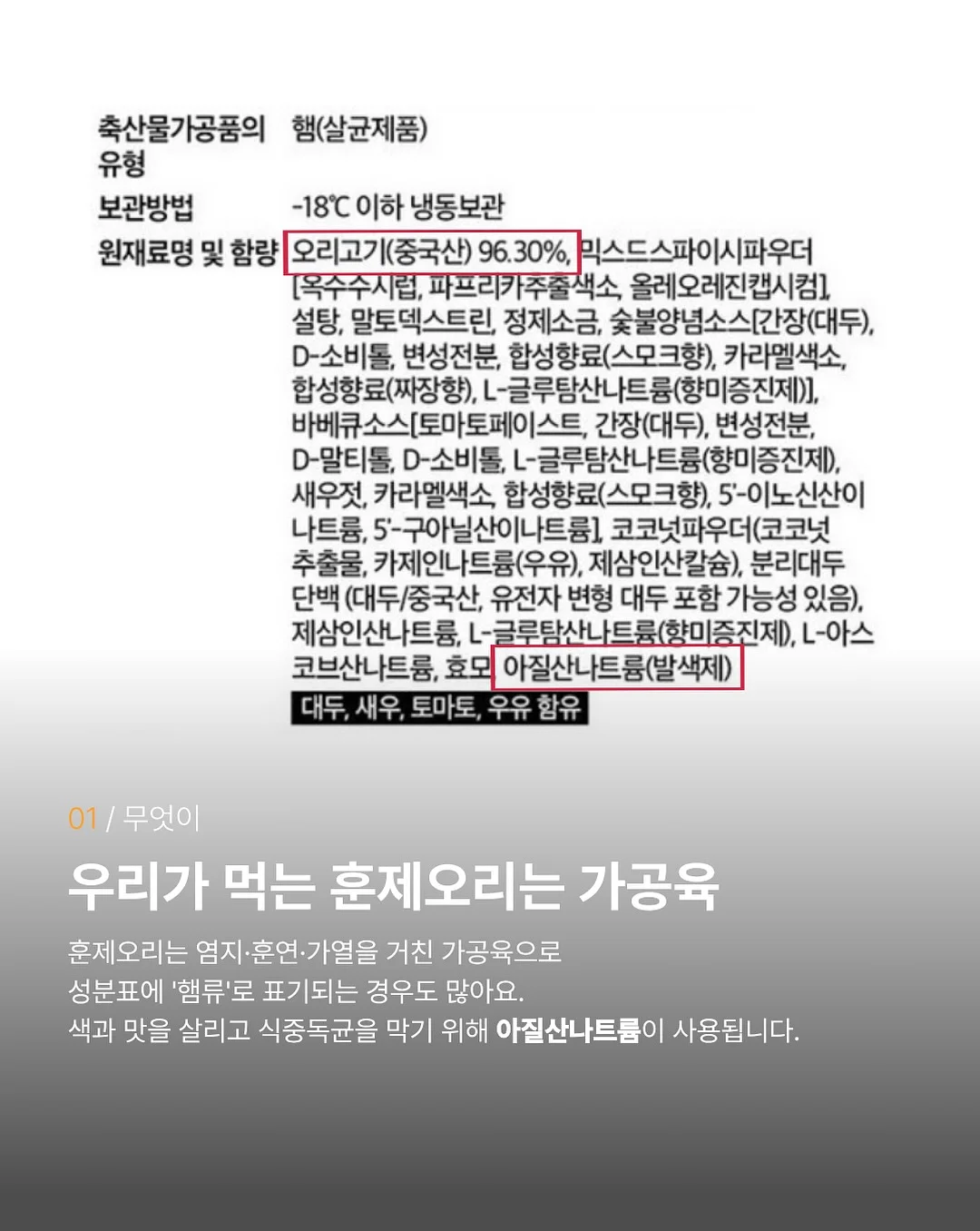 데이지덕 반팔티 2