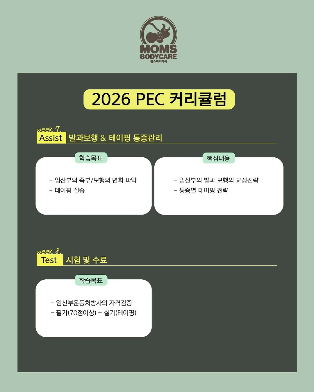 바퀴벌레 약 5