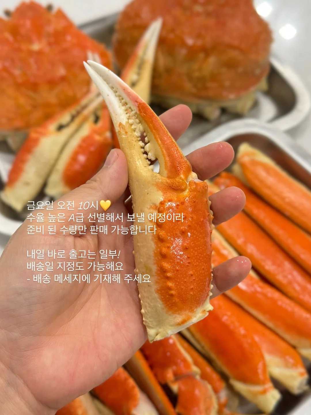 독일 수입 3종 세트 1