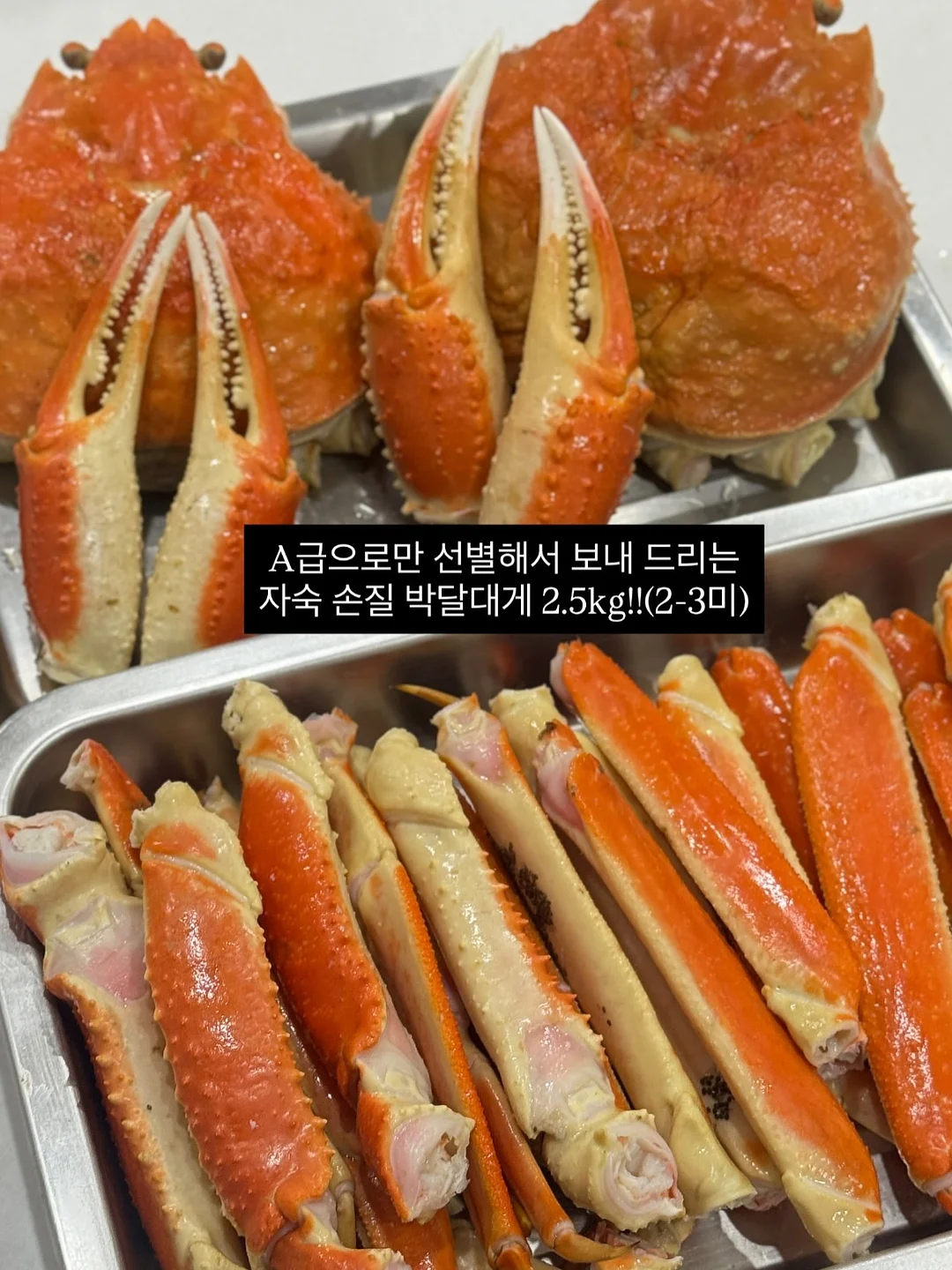 독일 수입 3종 세트 2