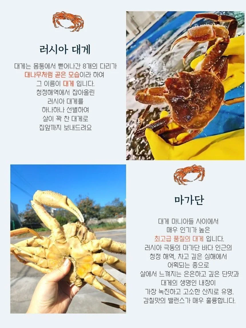 독일 수입 3종 세트 4