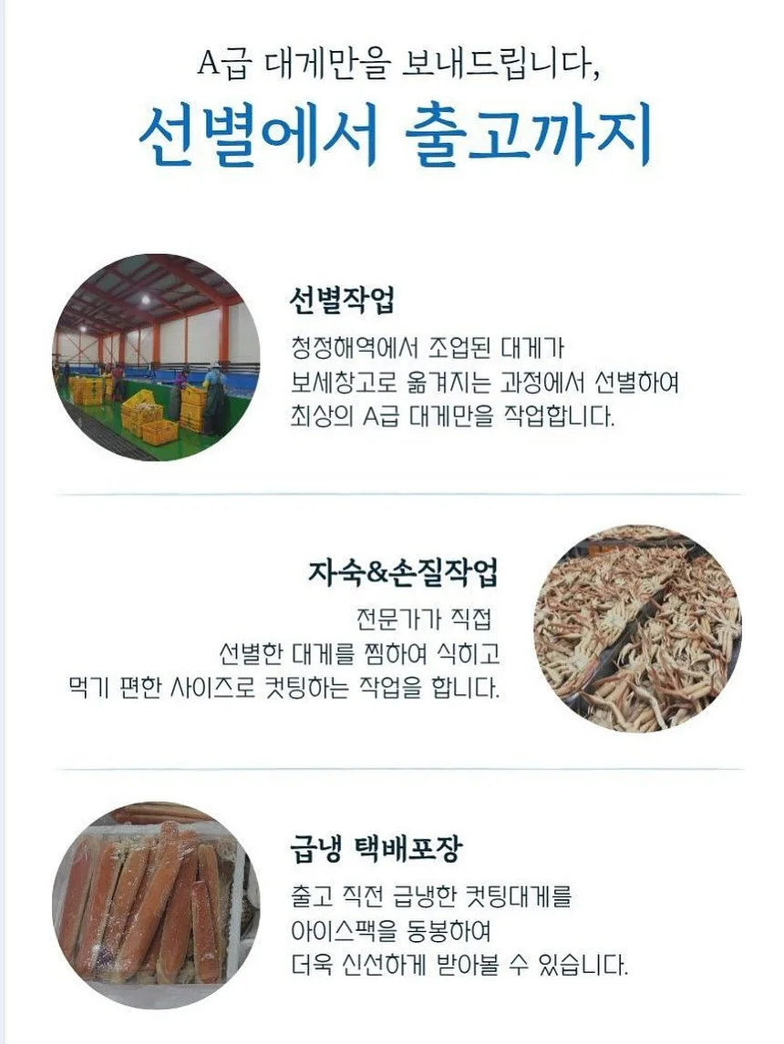 독일 수입 3종 세트 5