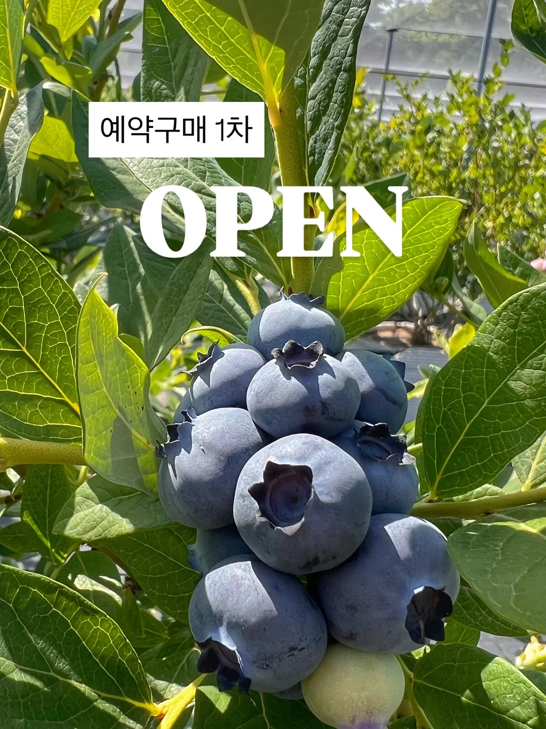 모든 날들이 행복했으면 좋겠어