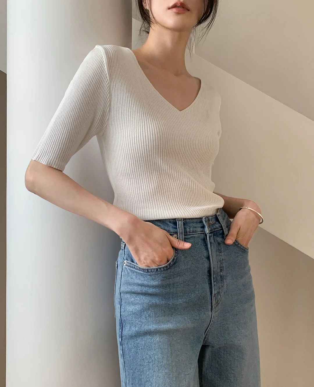 V멀티 인섹트 고양이 사료 1