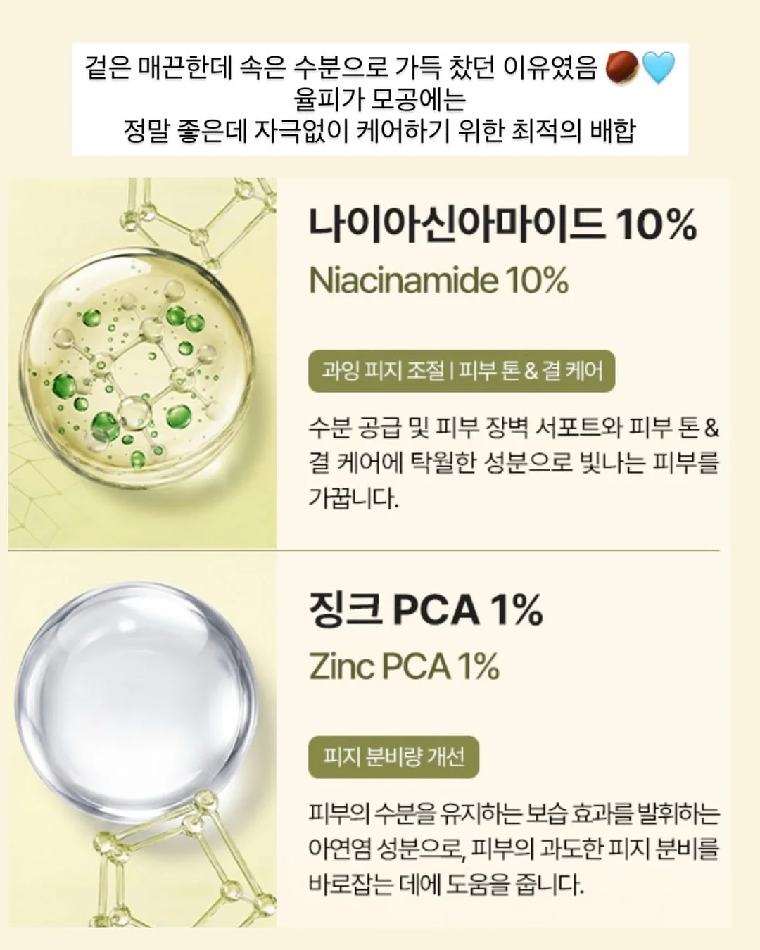 지구의 날 활동 자료 9