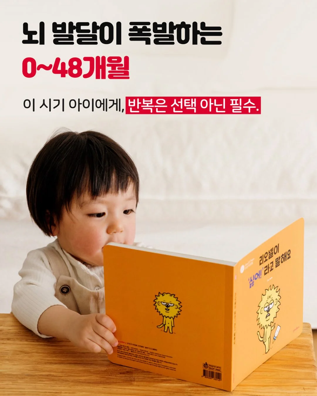 블랙말티푸 담백이 5