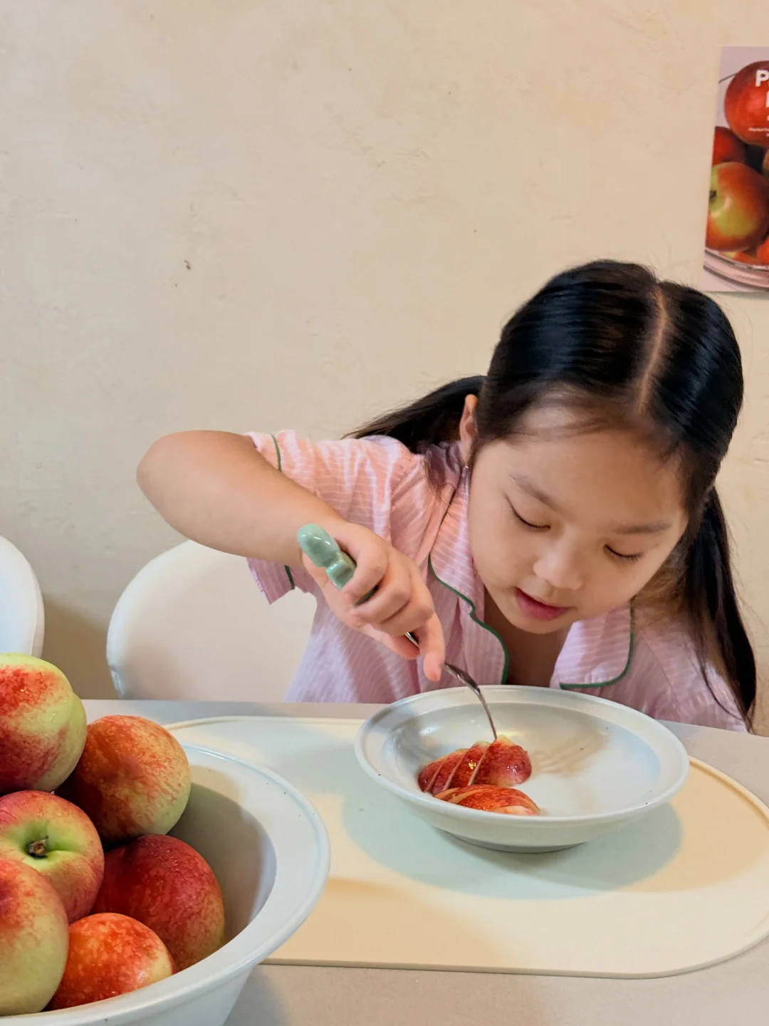 길고양이 인식 개선 박스테이프 4