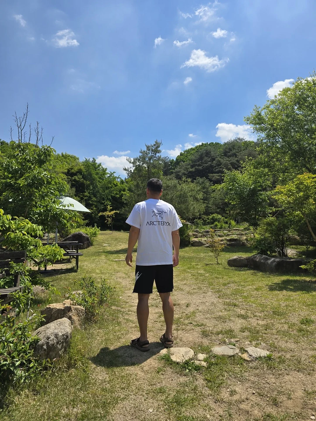 아루바 아델 커치프, 아루캣비니 8