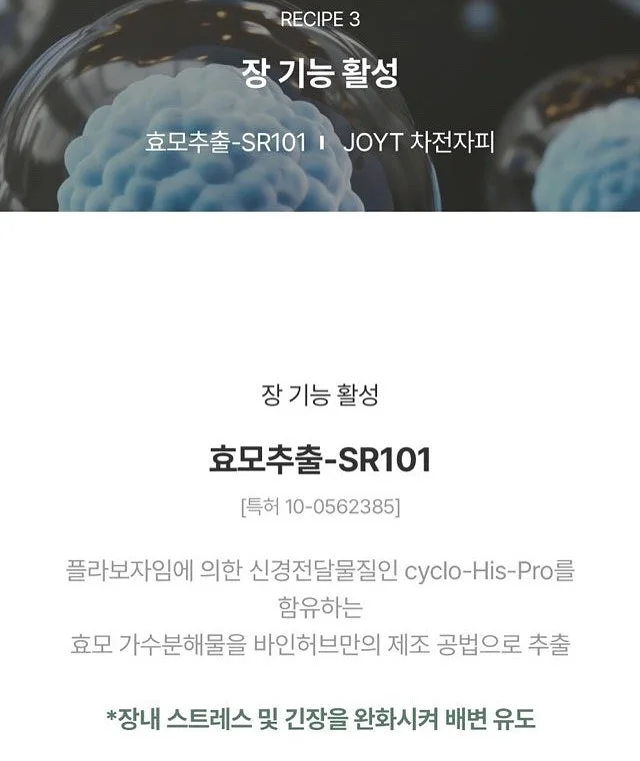 로에베 배색 반팔 8