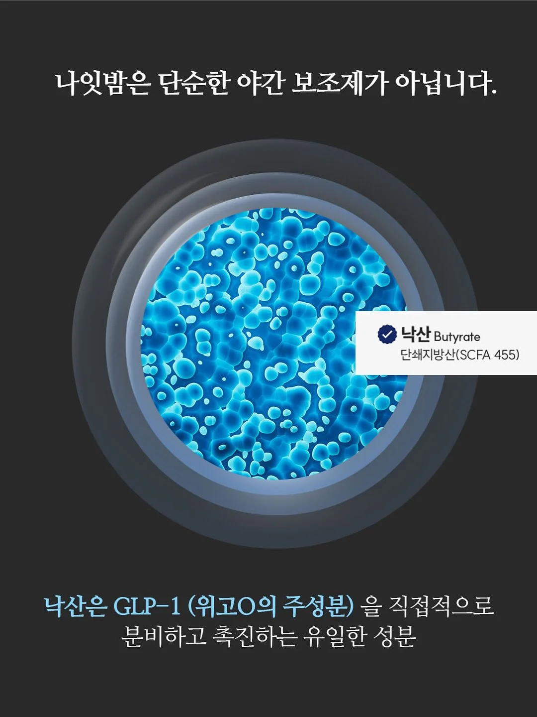 오메베어 작가님 신상품 14