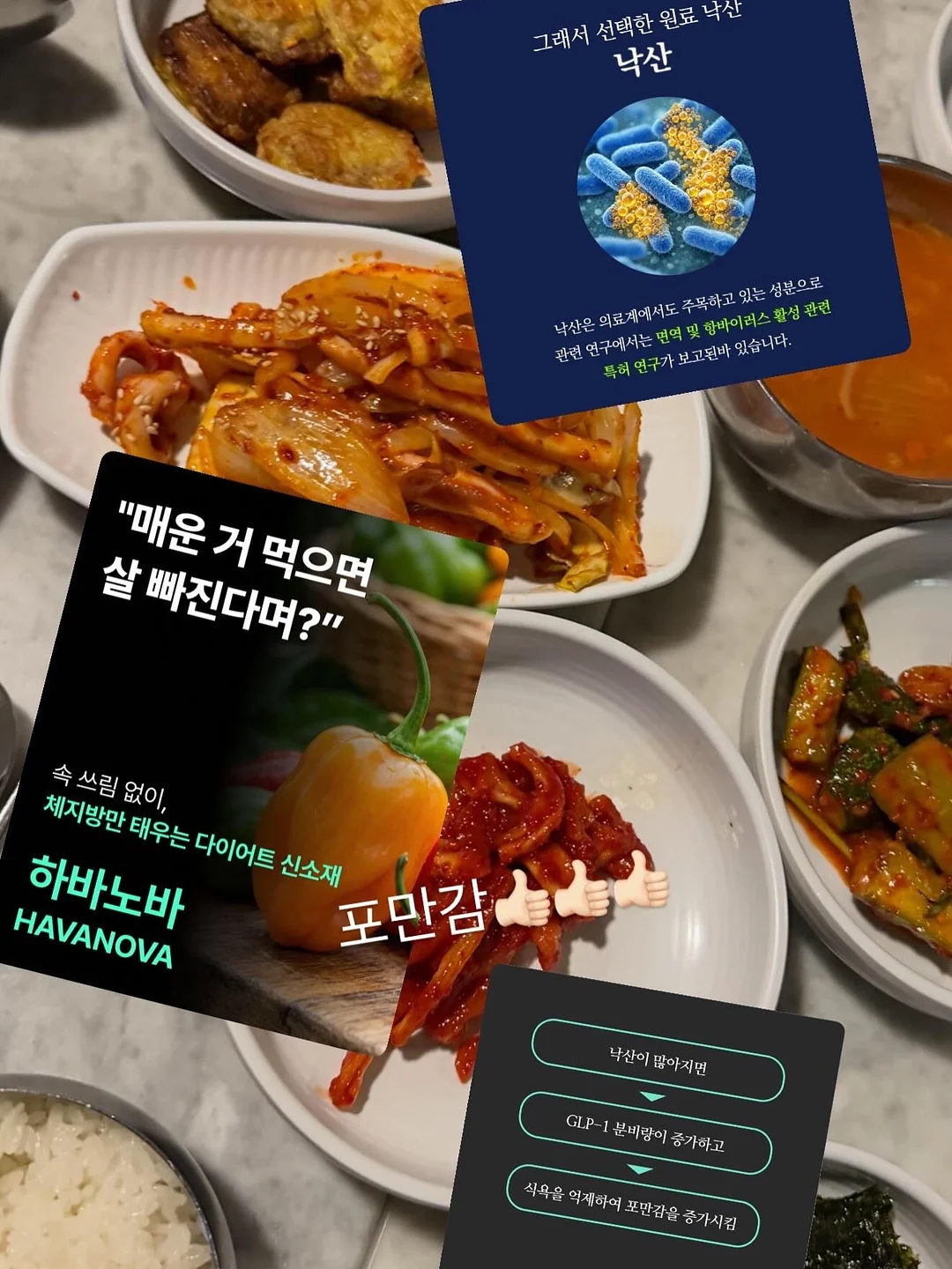 오메베어 작가님 신상품 15