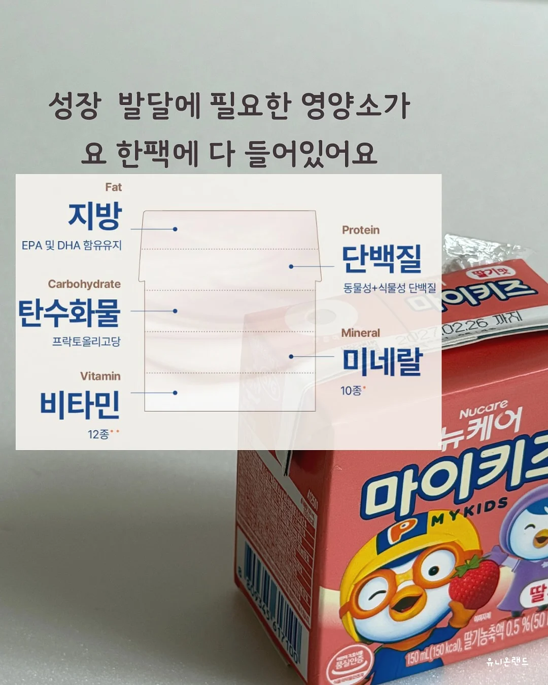 다이소 여름 꿀템 3