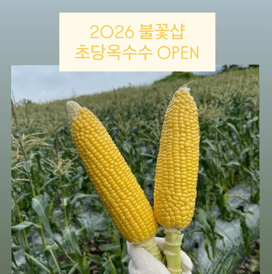 포해피니스 투톤 에코백 1