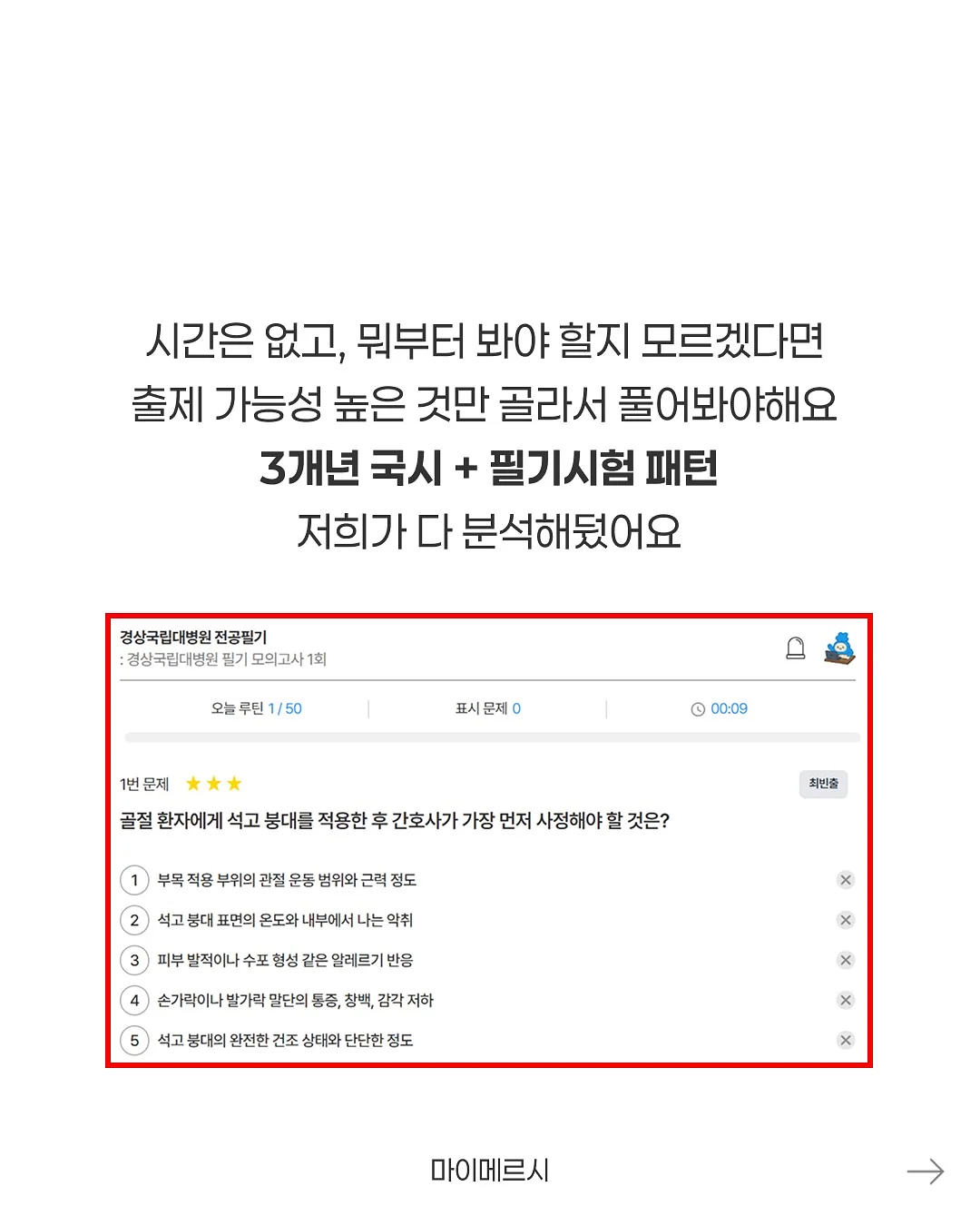 자이언트 에바폼 겹튤립 4