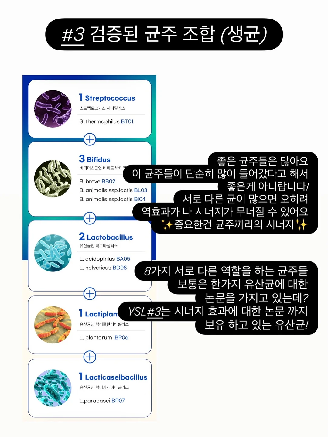 복숭아 6