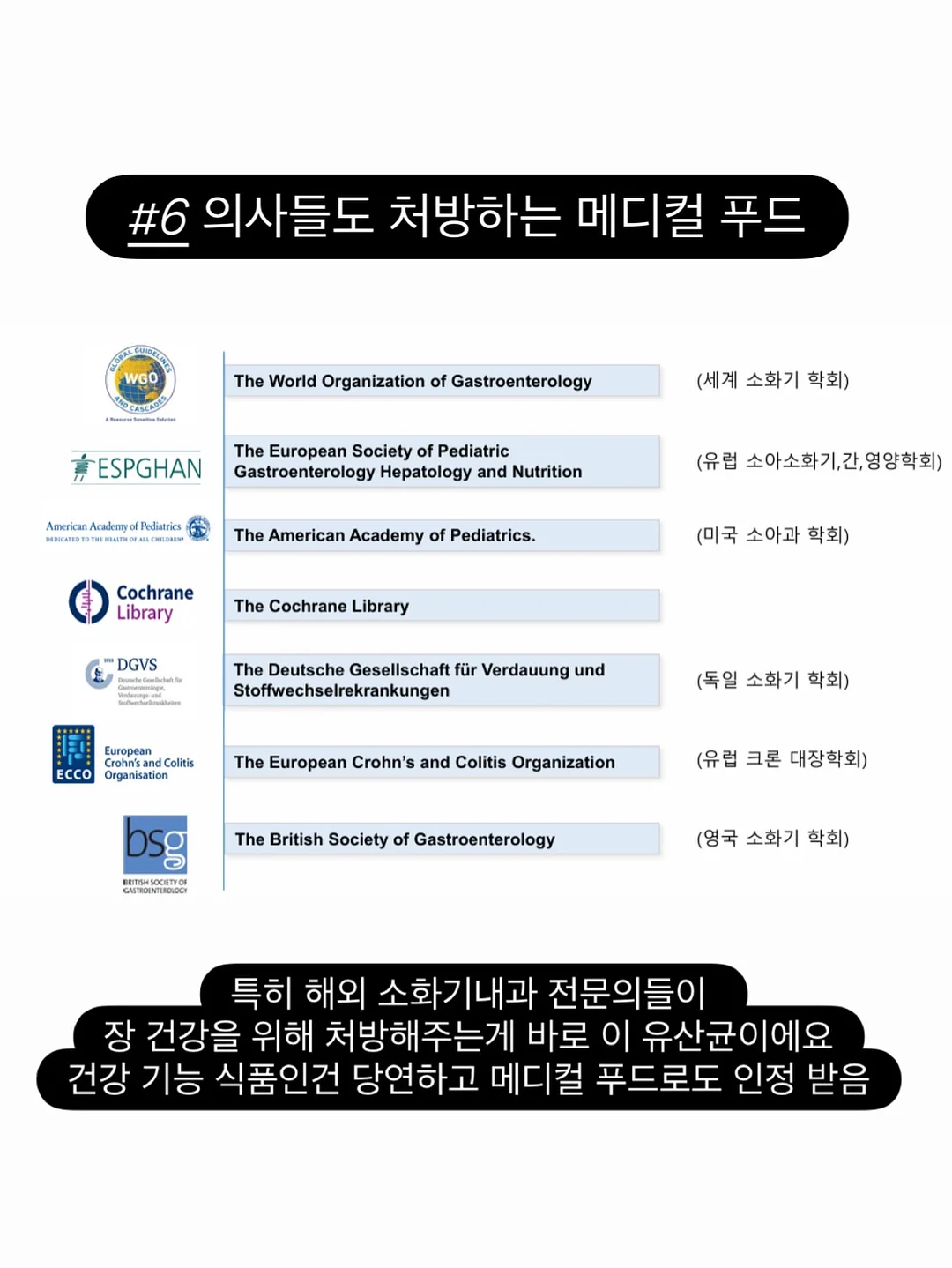 복숭아 9