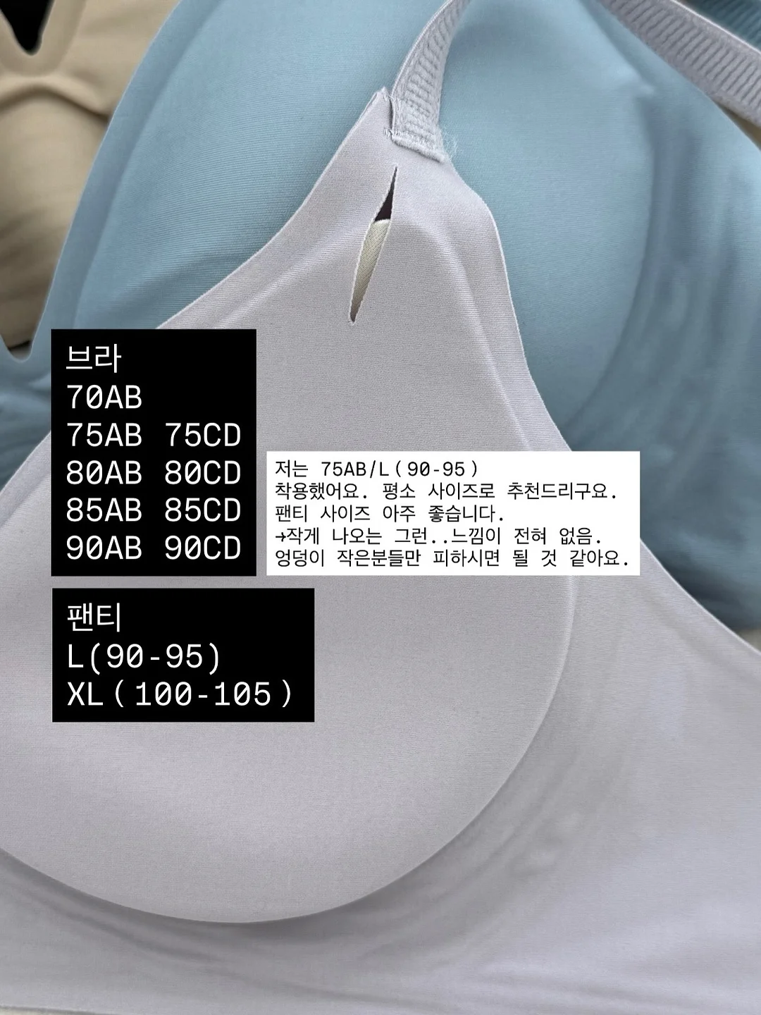 벽지 페인트 6