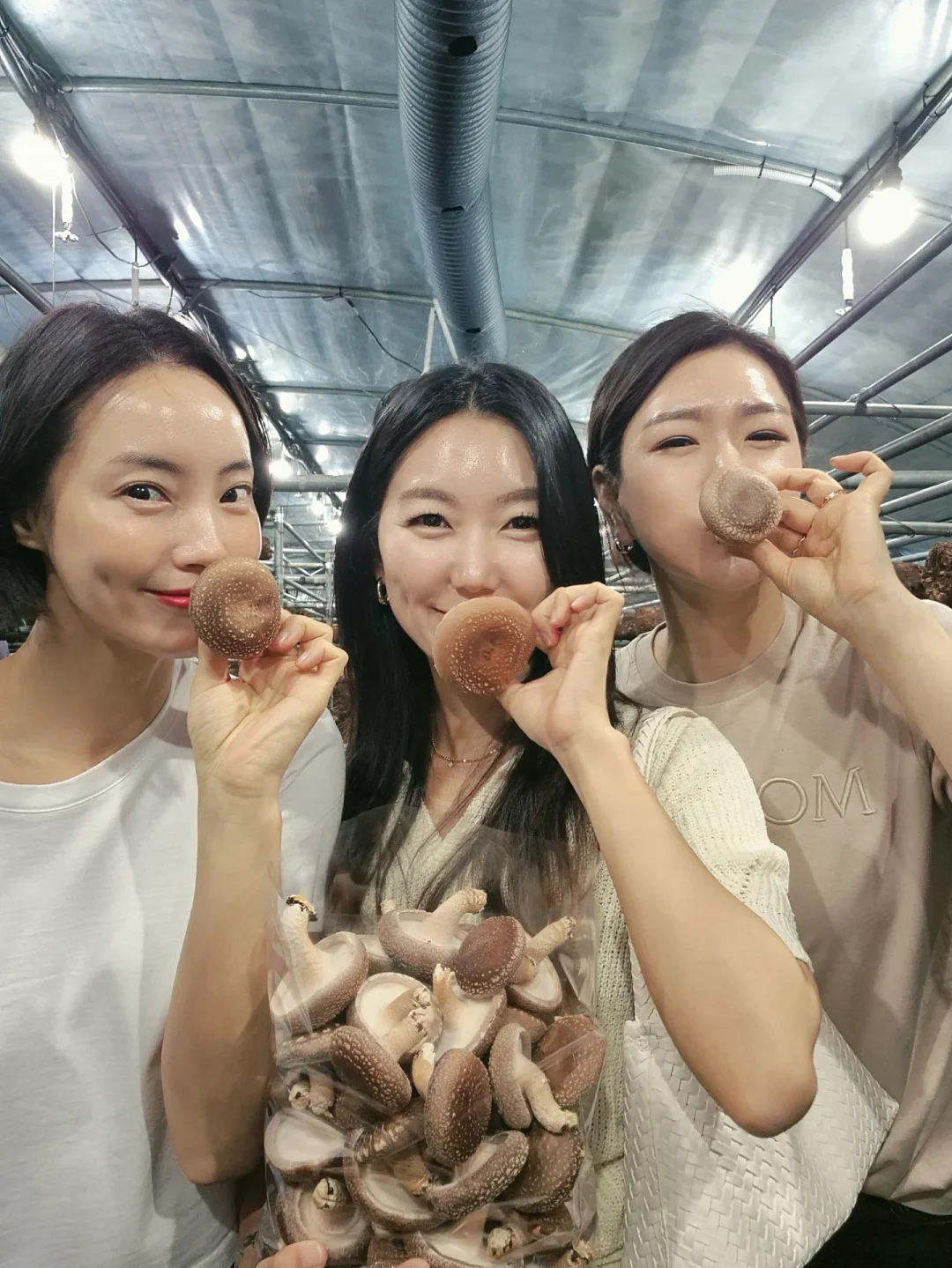 바란스 5