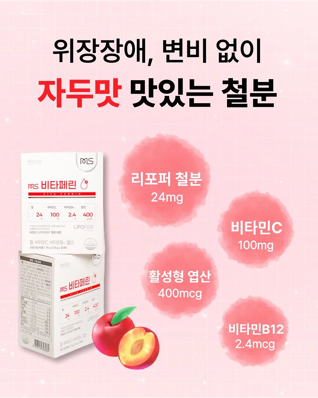 준베리나무 3