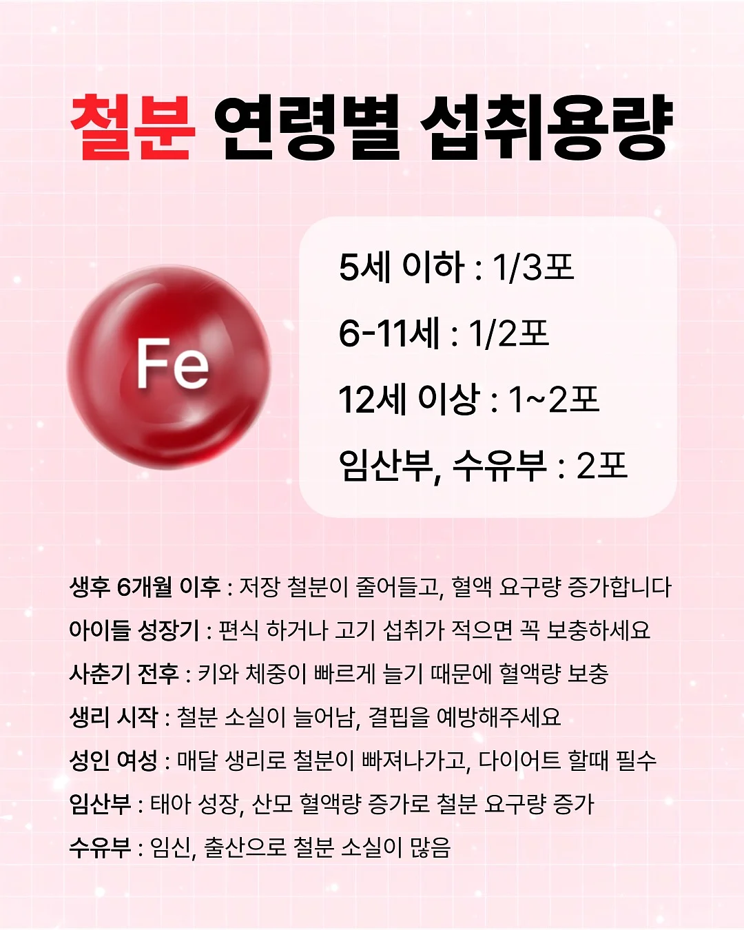 준베리나무 5