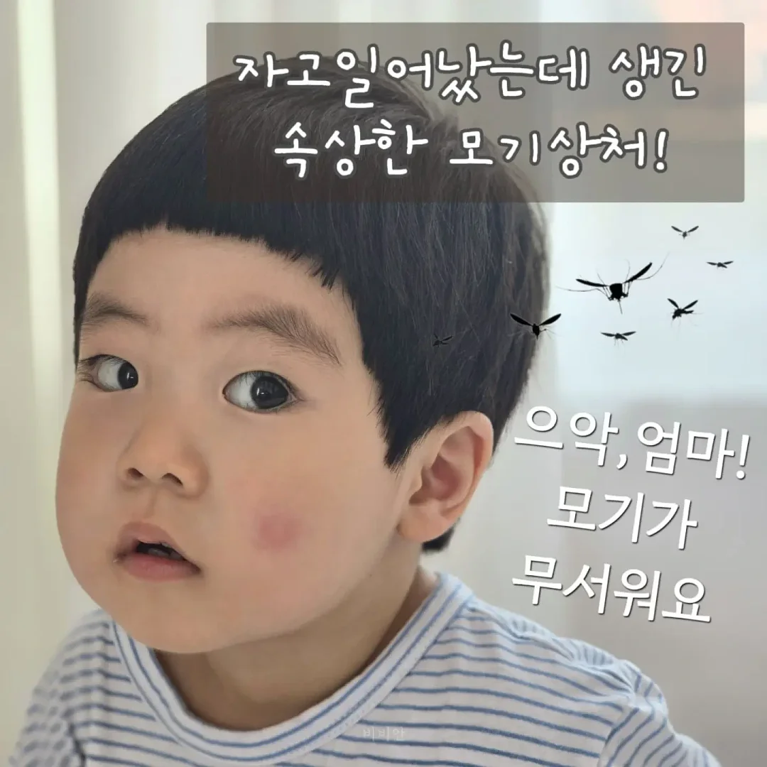 오노홈 원형테이블 디자인체어 2